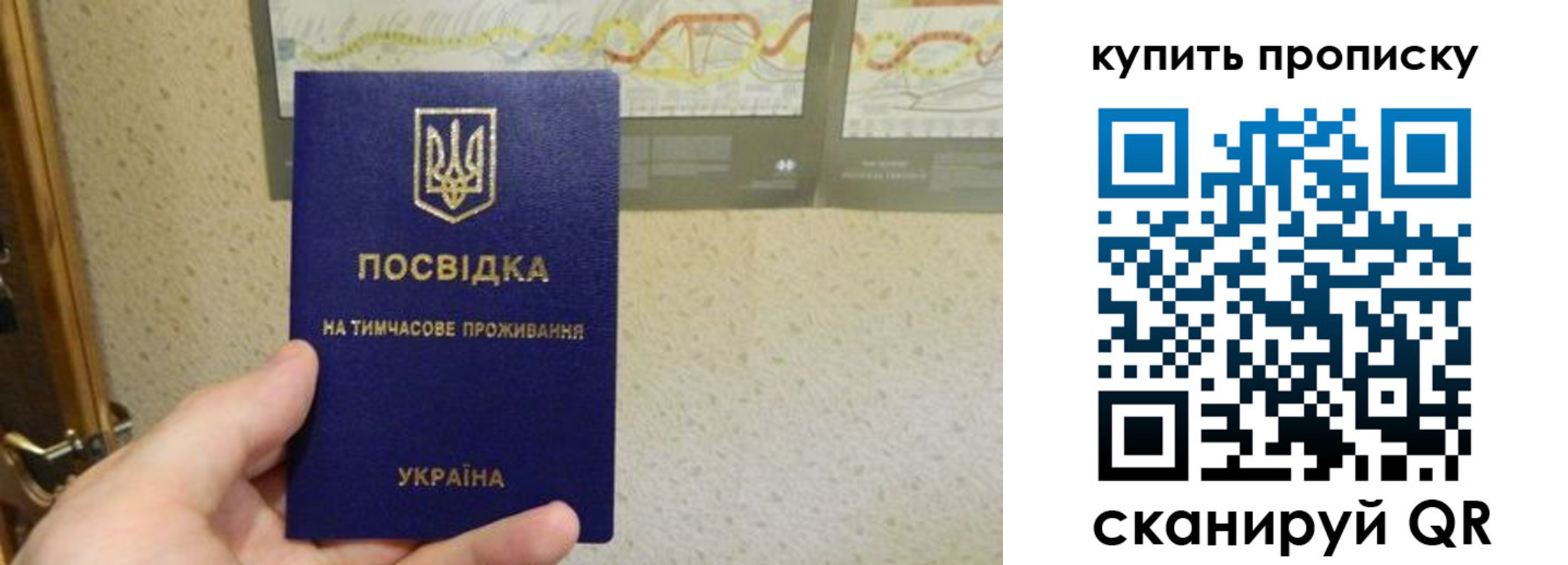 временная регистрация поиск в Борзе